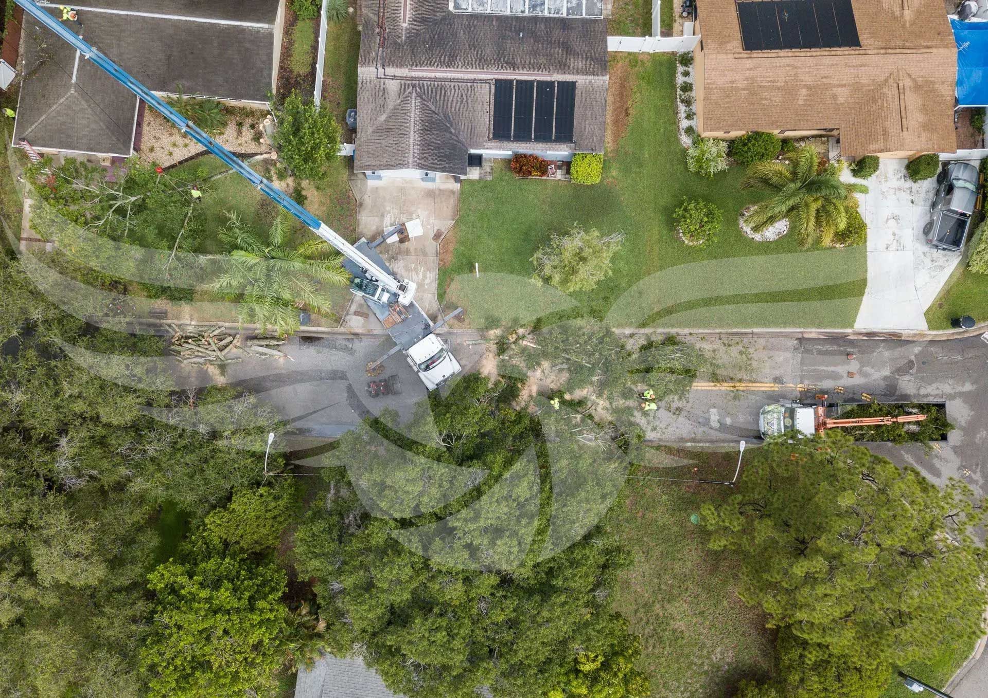An aerial view of a tree being cut down in front of a house.