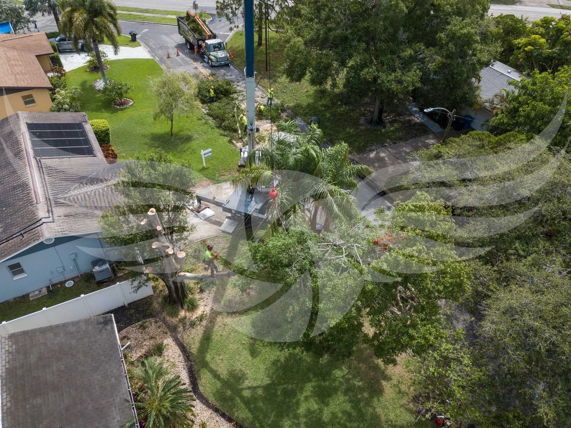 An aerial view of a house with a tree fallen on it.