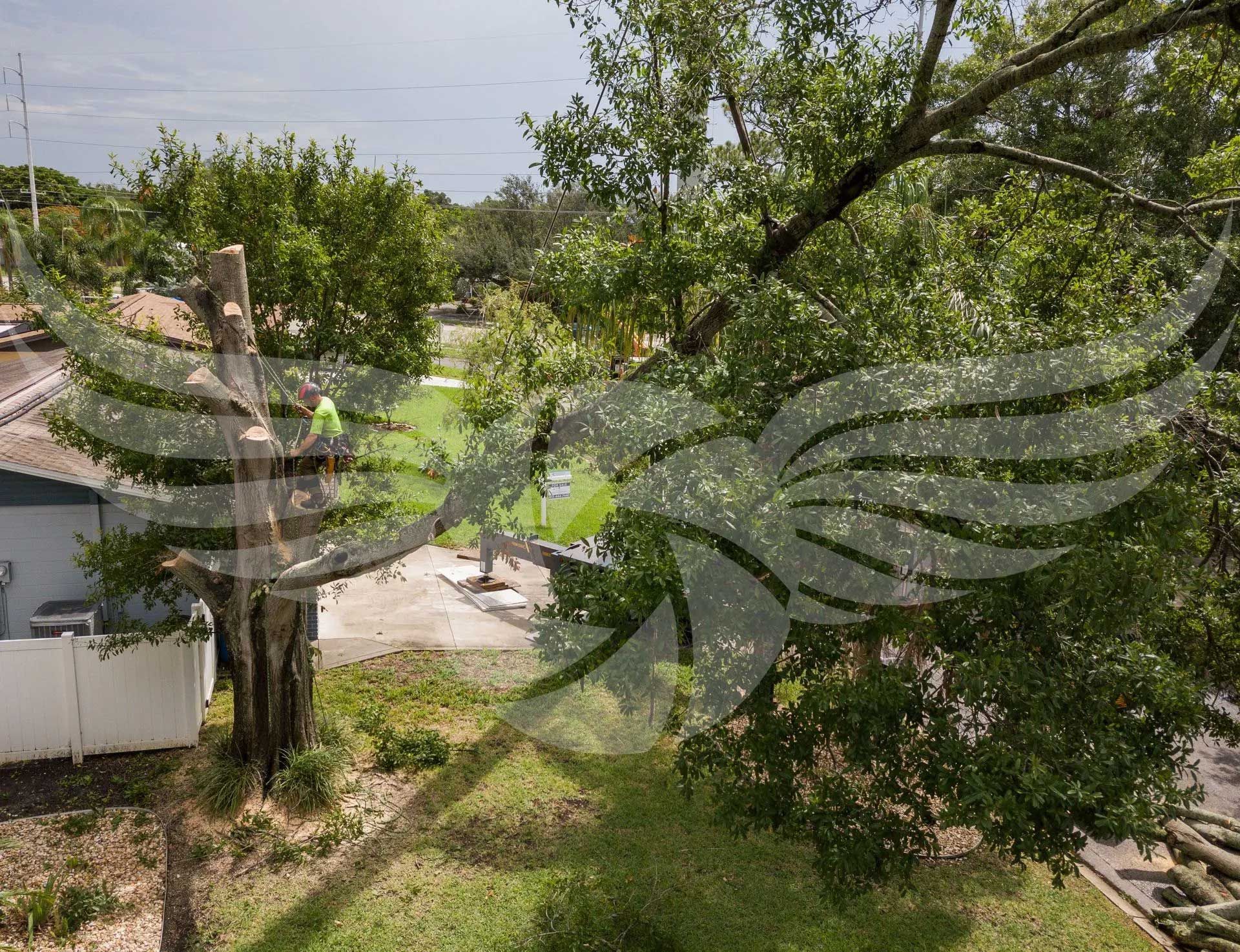 A bird is flying over a fallen tree in a yard.