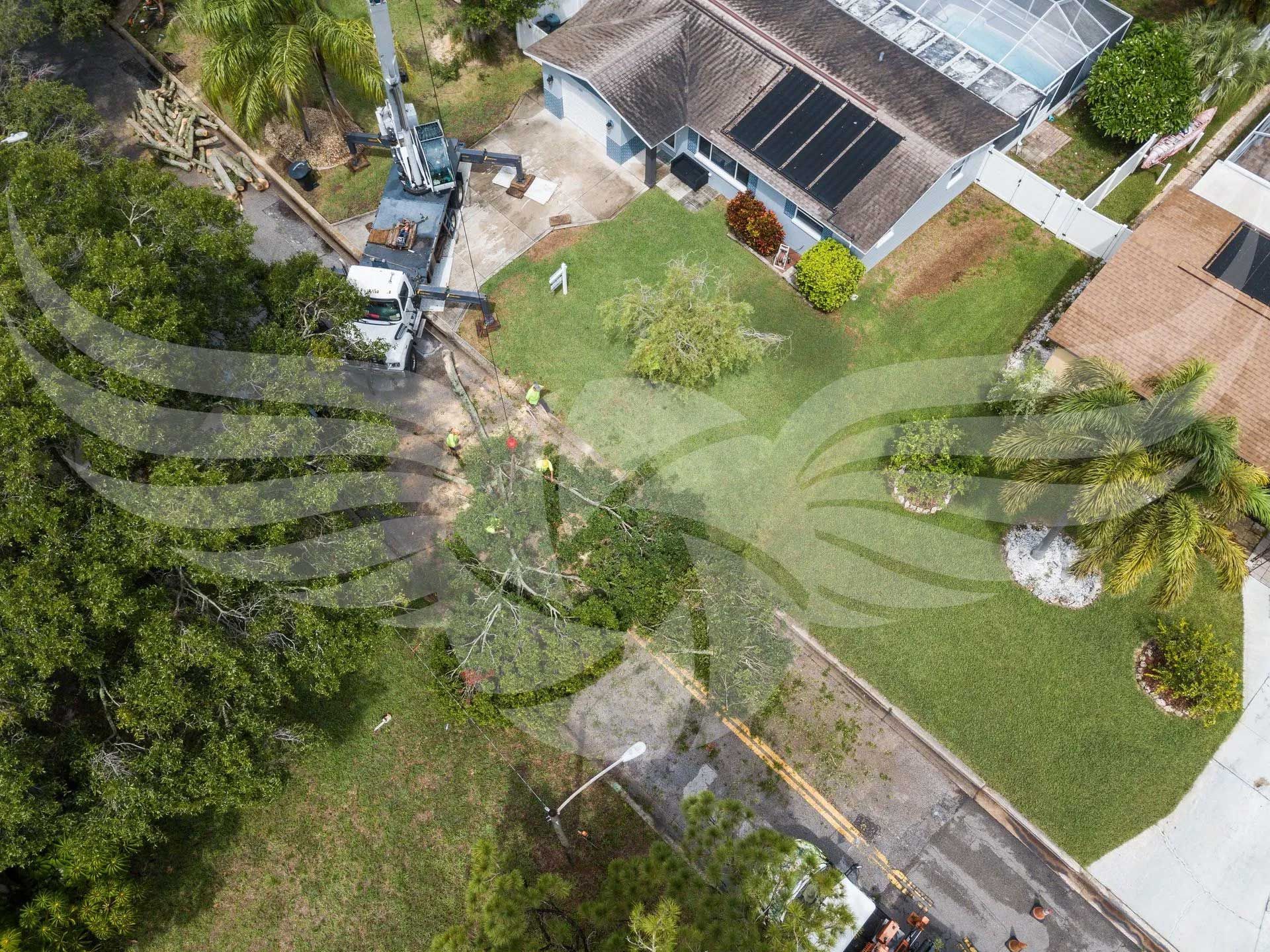 An aerial view of a house with a fallen tree in front of it.