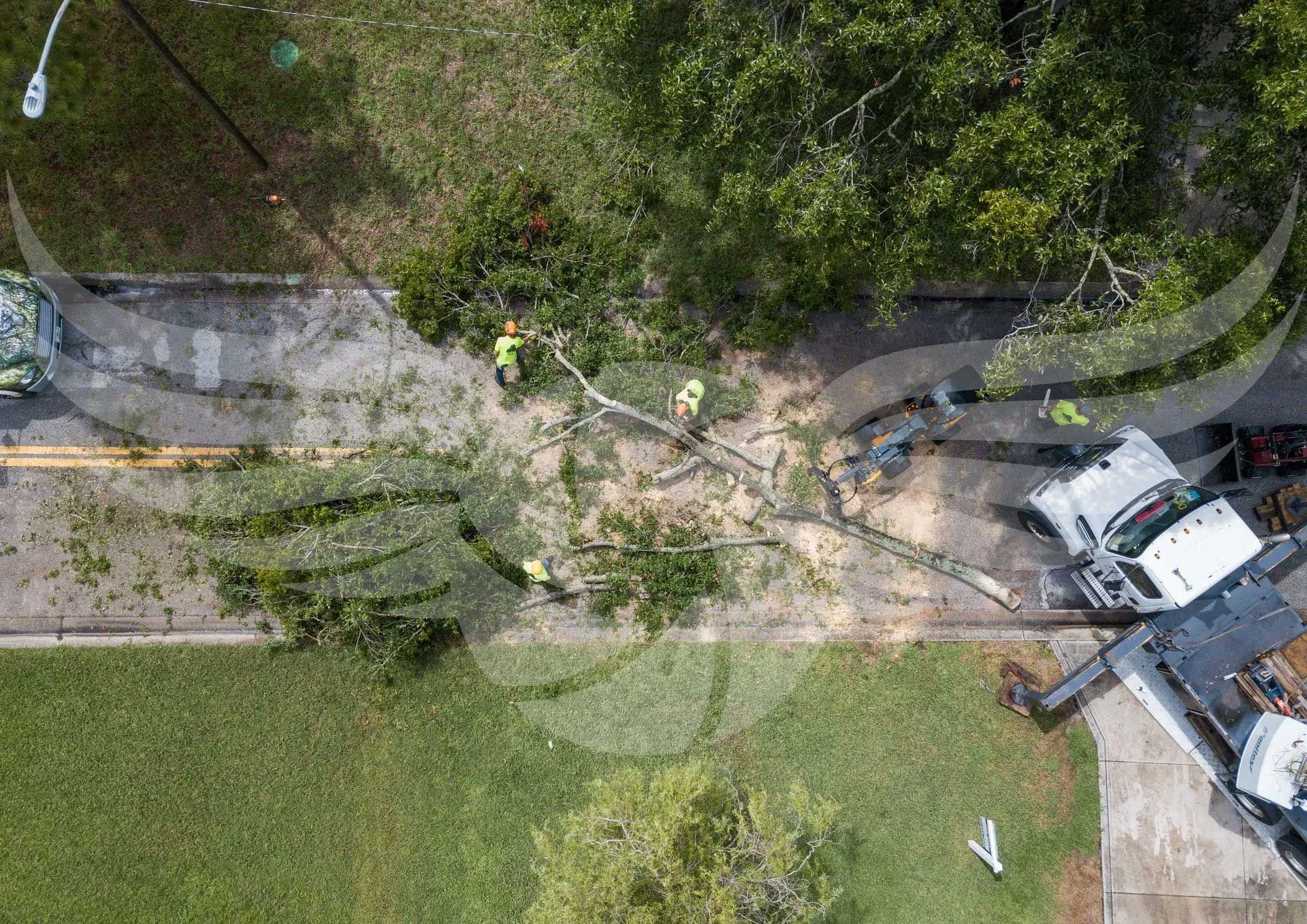 An aerial view of a tree being removed from the side of a road.