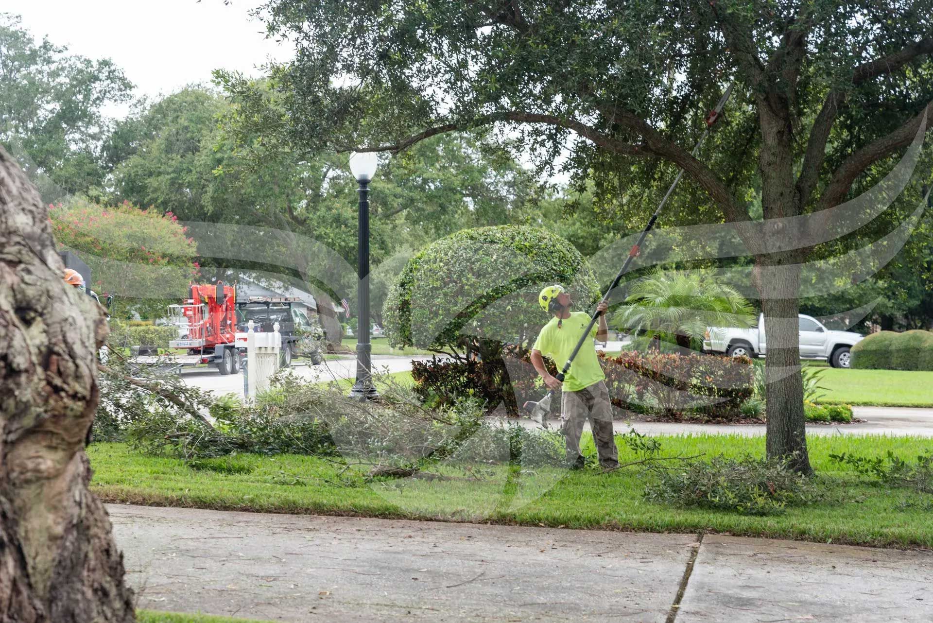 A man is cutting a tree in a park with a lawn mower.