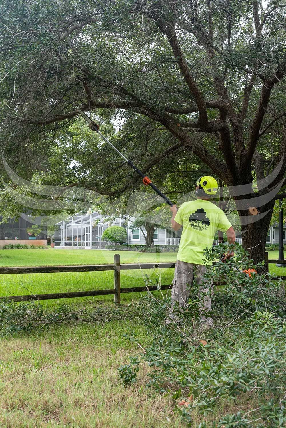 A man is cutting a tree with a pole saw in a yard.