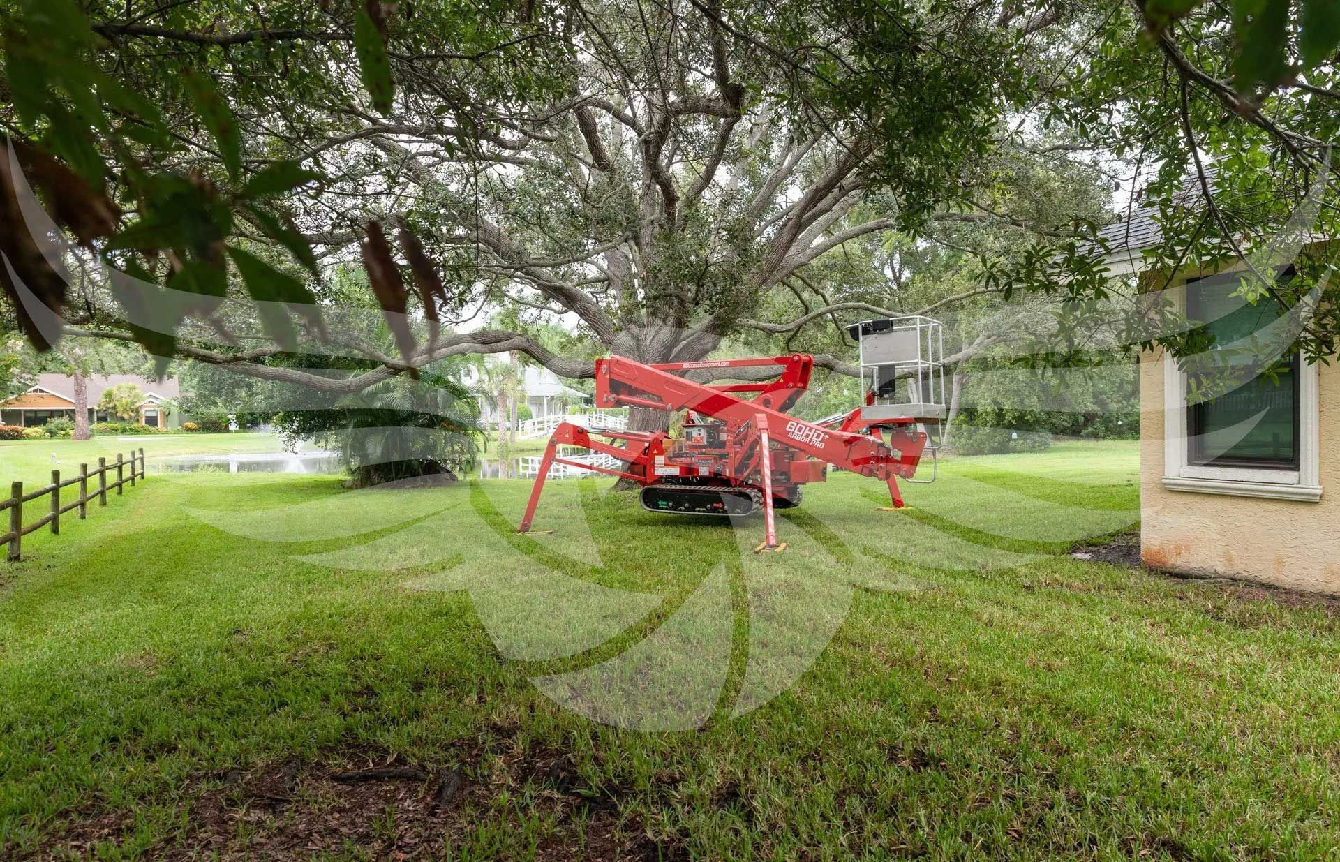 A red crane is sitting in the grass in front of a house.