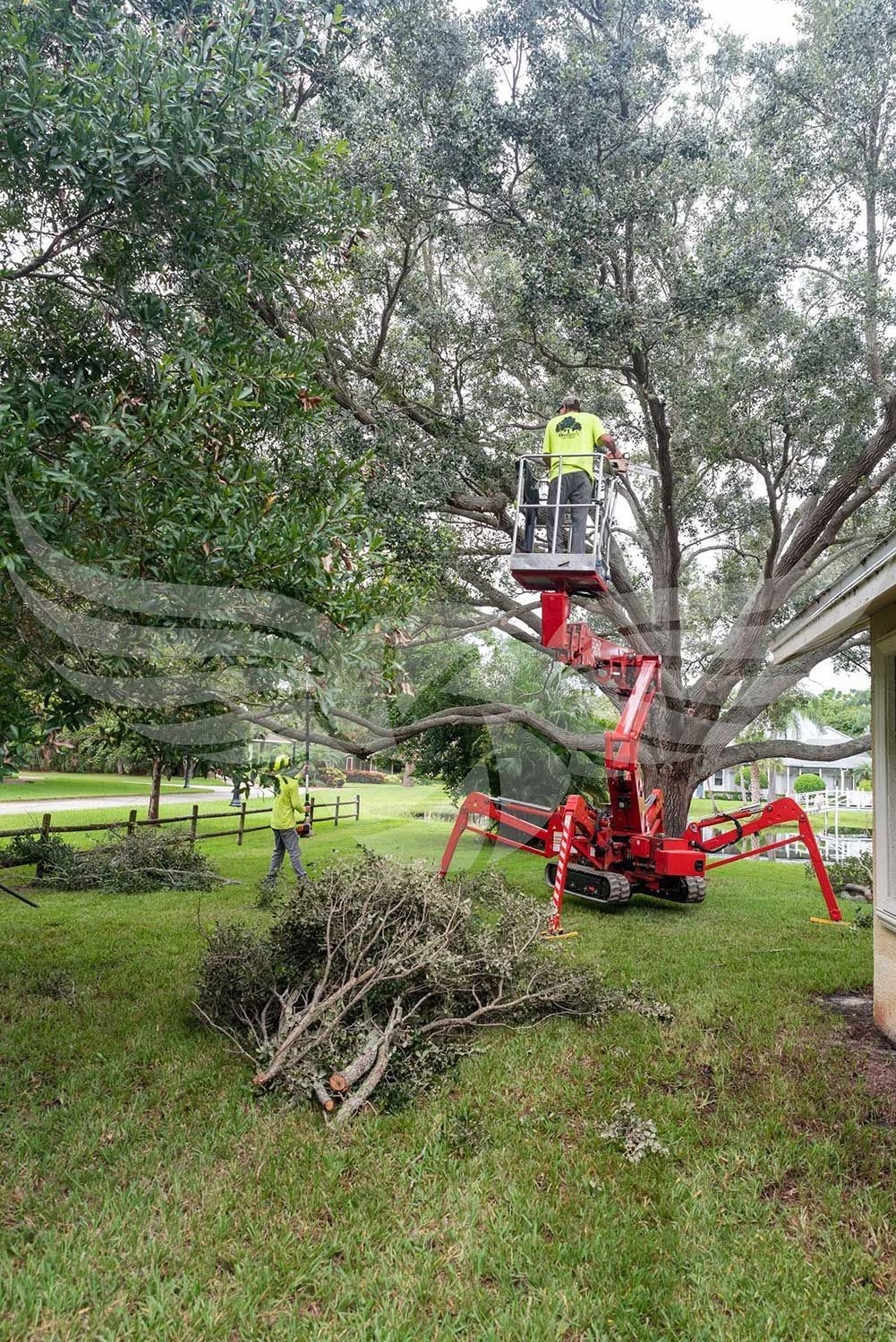 A man is cutting a tree with a crane in a yard.