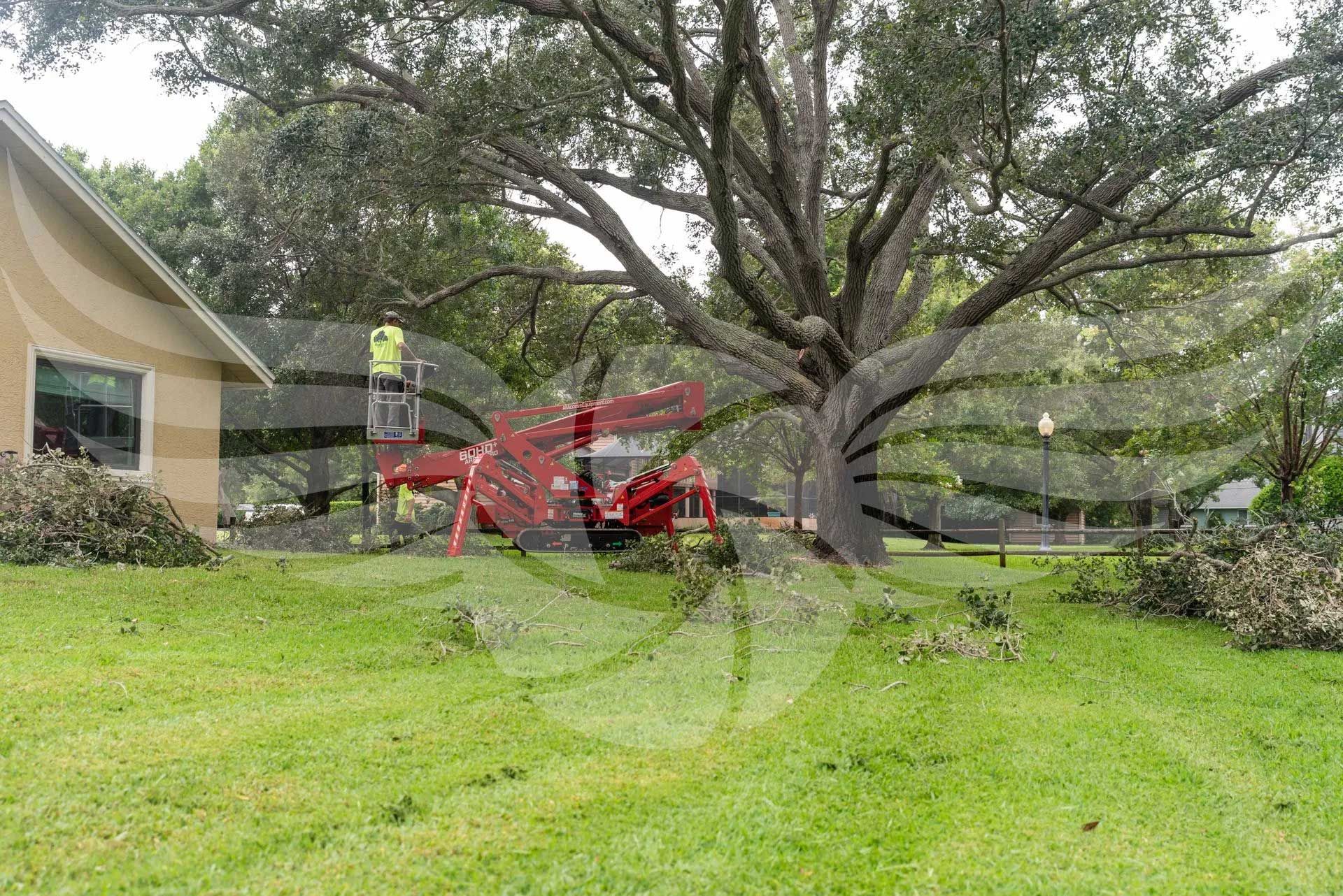 A red crane is cutting a tree in front of a house.