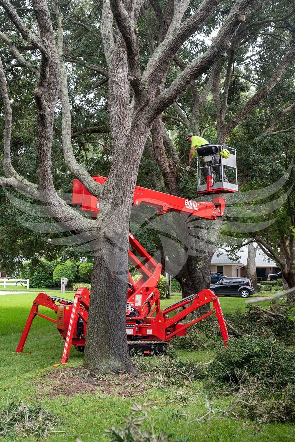 A man is cutting a tree with a crane in a park.
