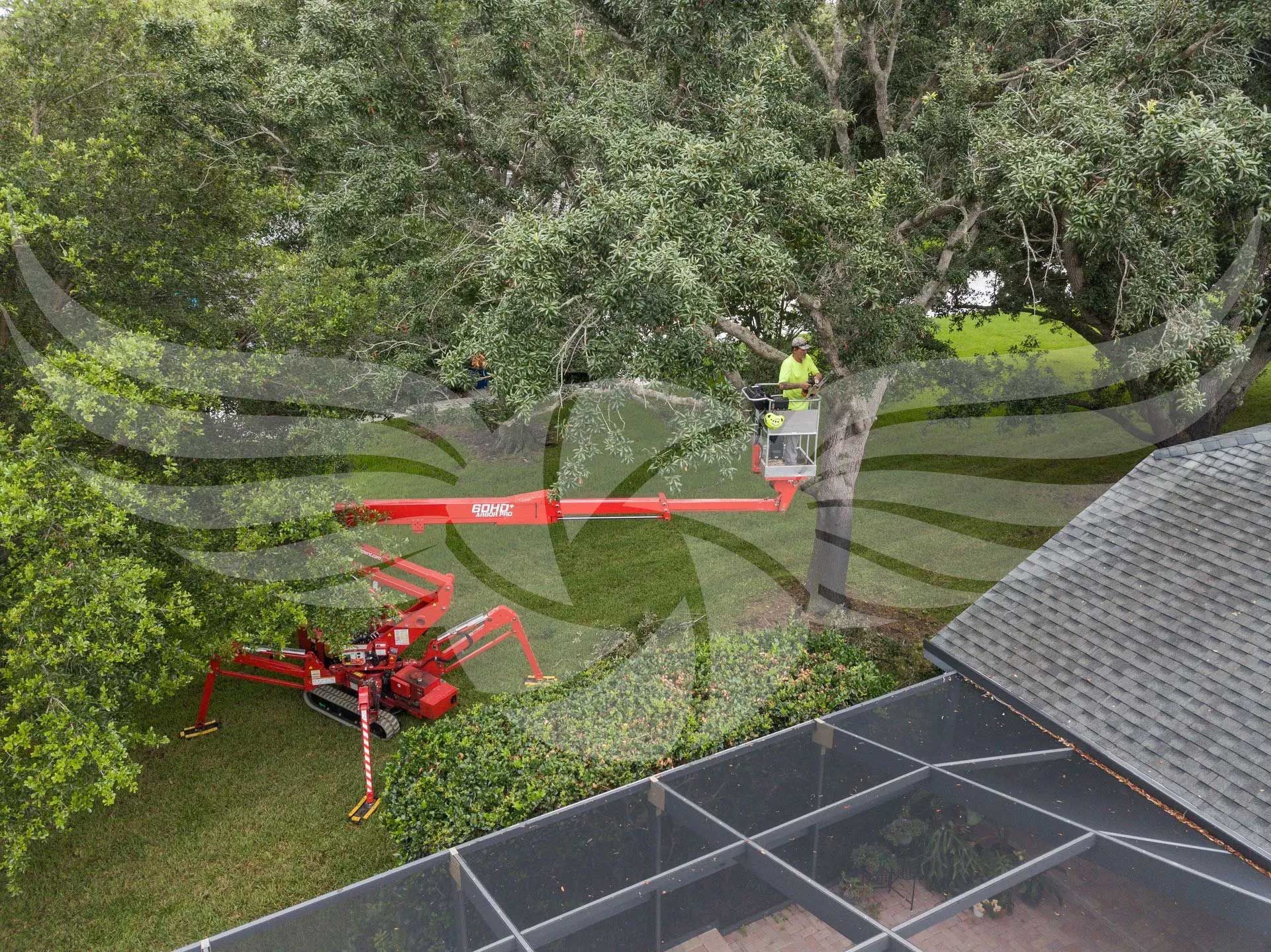A man is cutting a tree with a crane in a backyard.