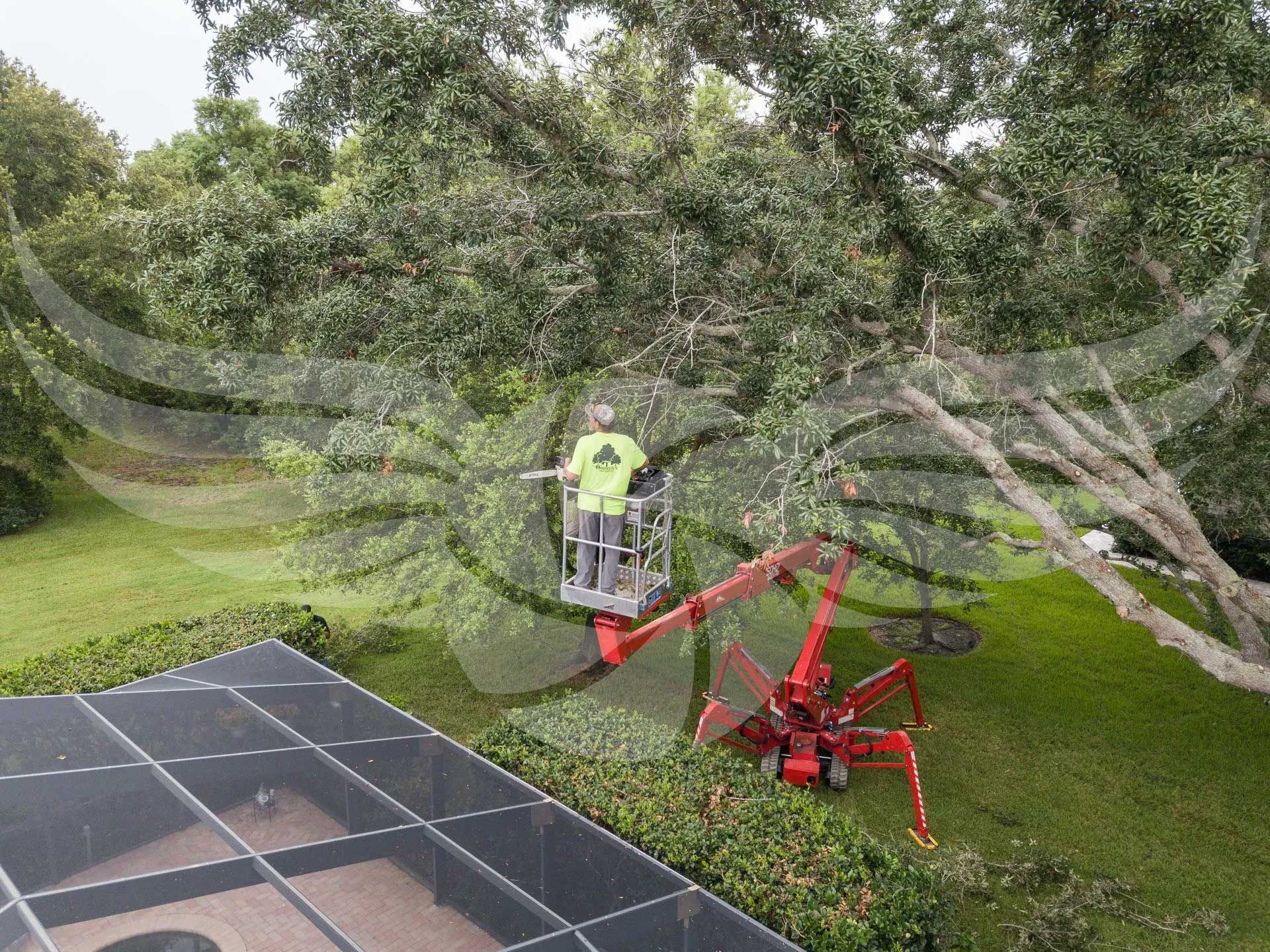 A man is cutting a tree with a crane in a backyard.