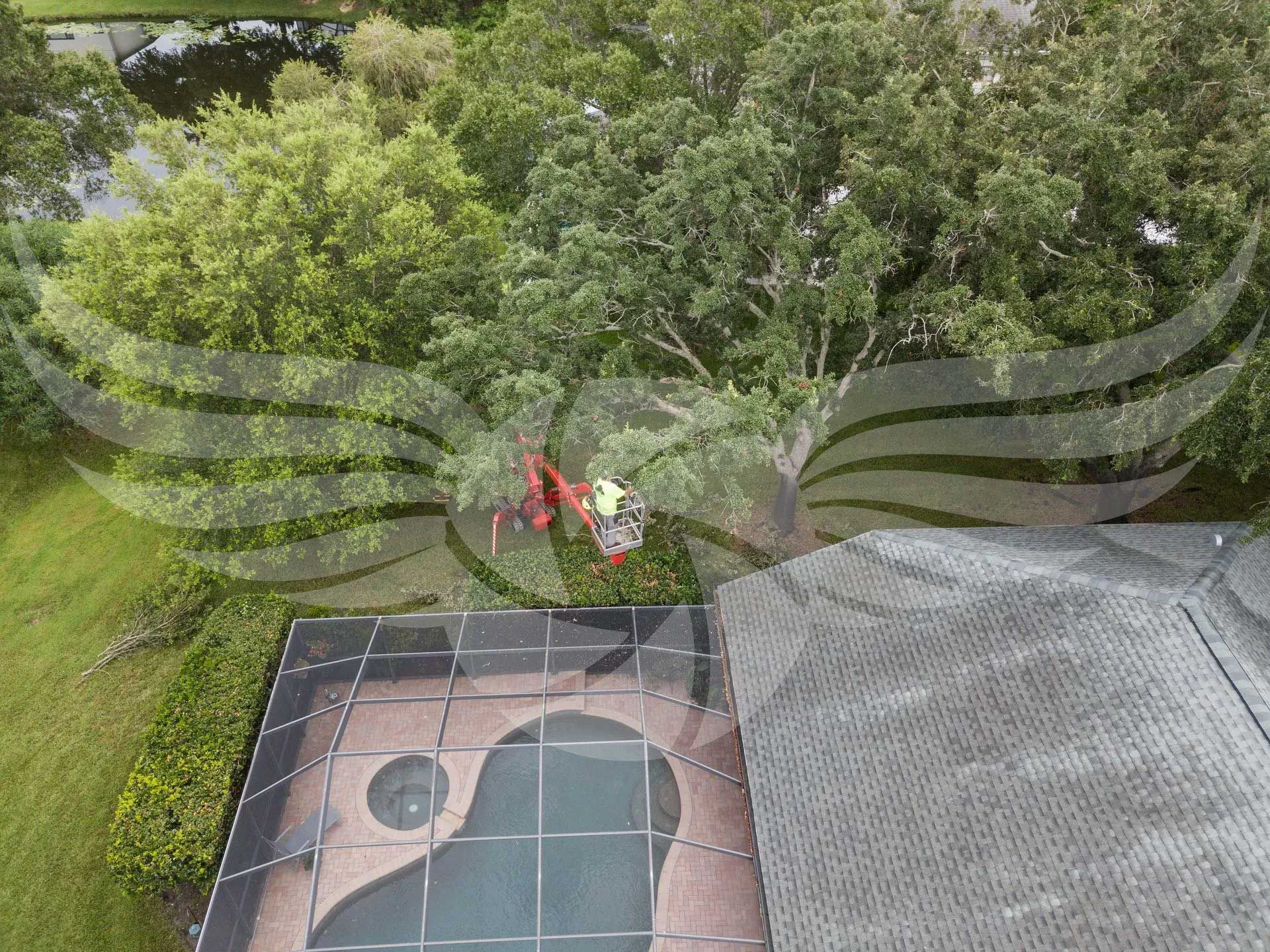 An aerial view of a house with a pool and trees