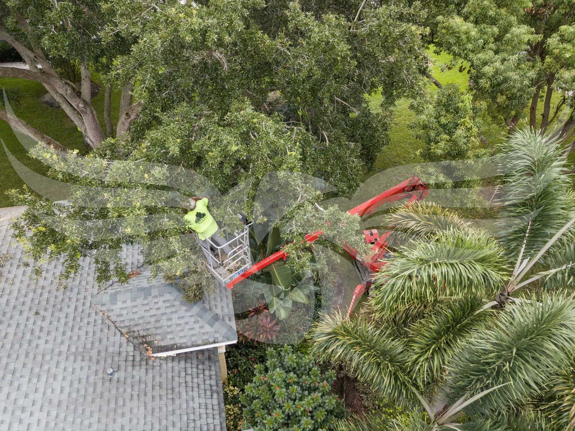An aerial view of a tree being removed from the roof of a house.