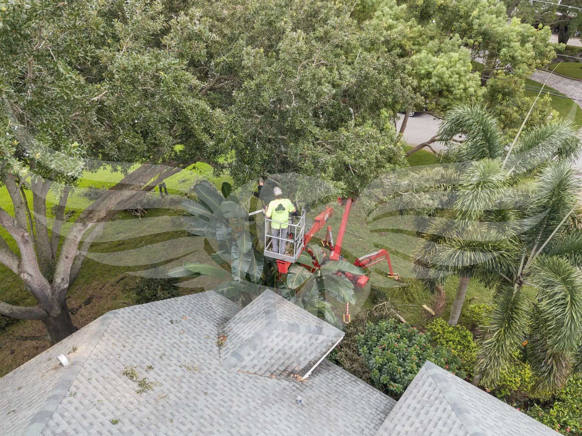 A drone is sitting on top of a roof next to a tree.