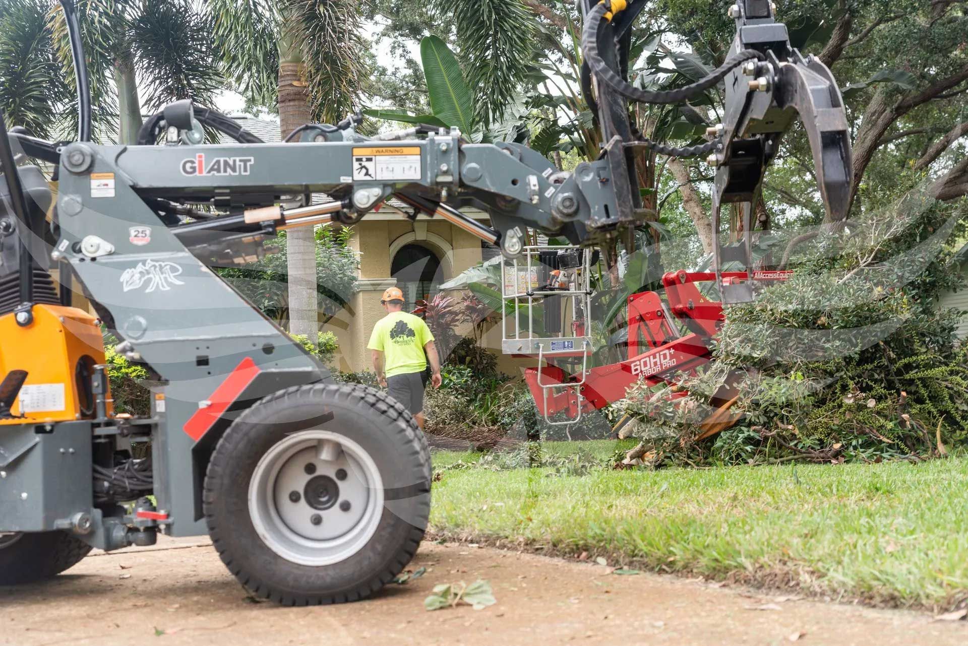 A man in a green shirt is standing next to a tractor.
