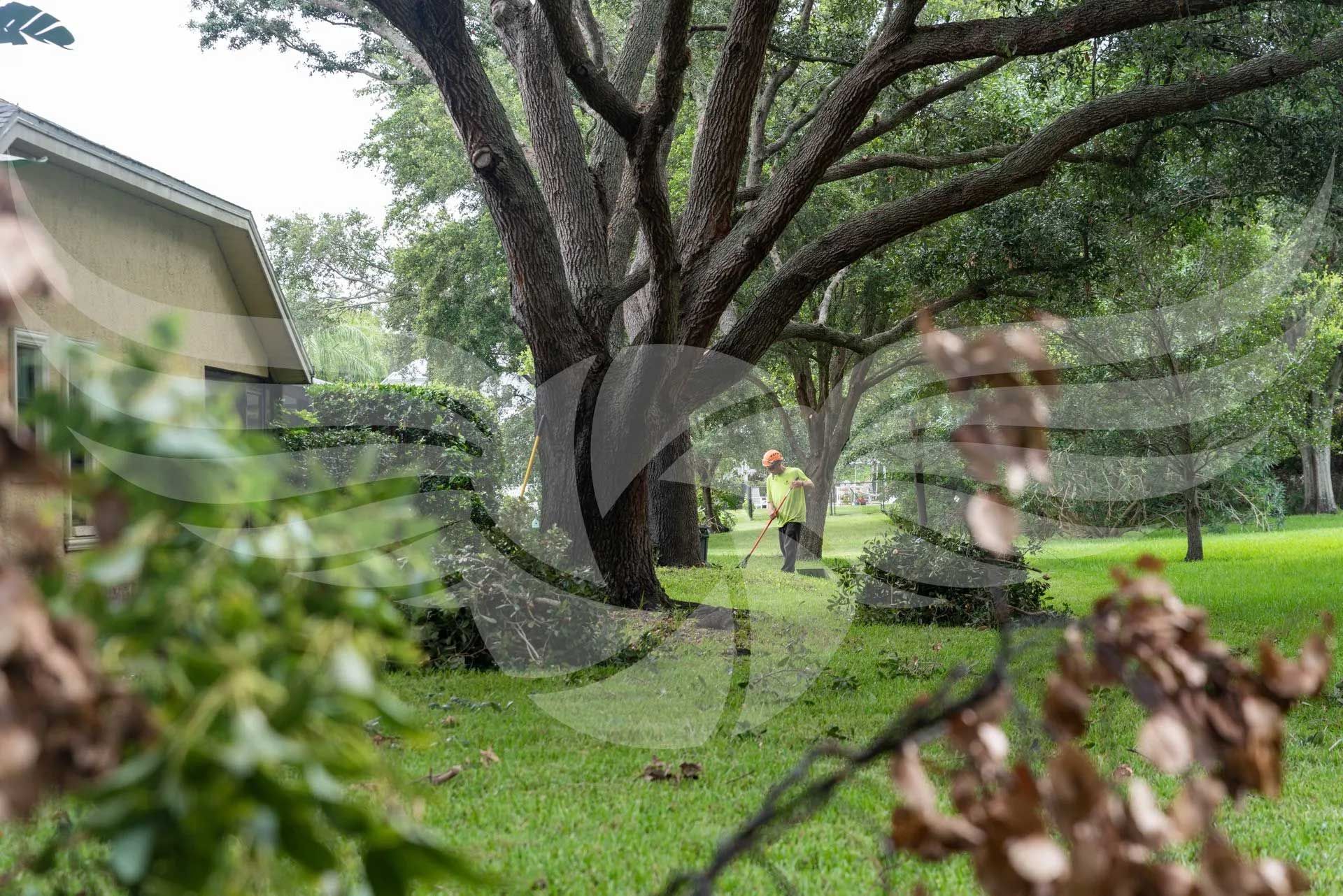 A person is standing under a tree in a yard.