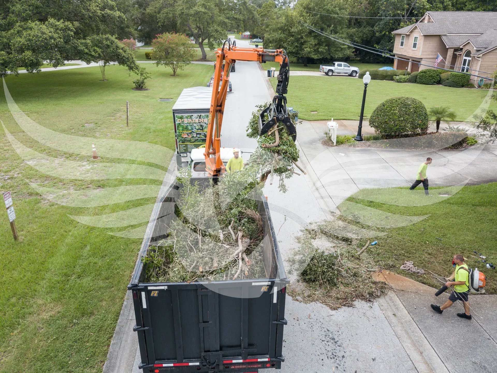 An aerial view of a dump truck filled with branches and leaves.