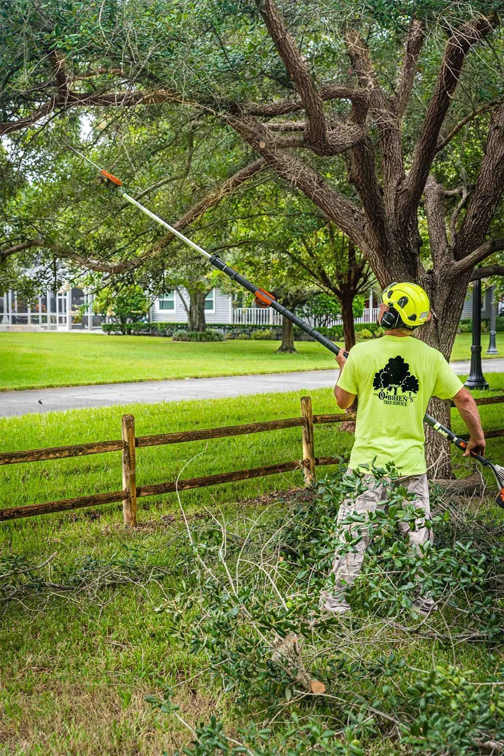 A man is cutting a tree with a long pole saw.