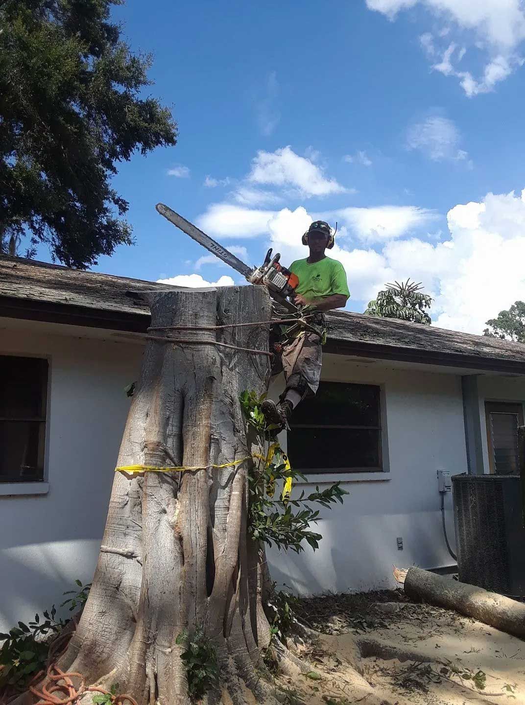 A man is cutting a tree stump with a chainsaw in front of a house.