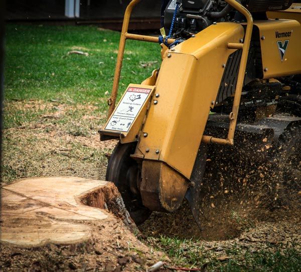 Stump Removal