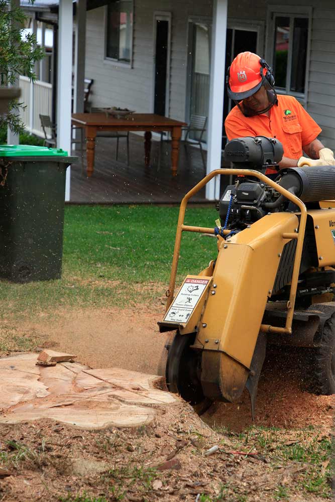 person operating stump grinder