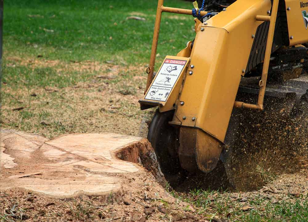 stump grinder at work