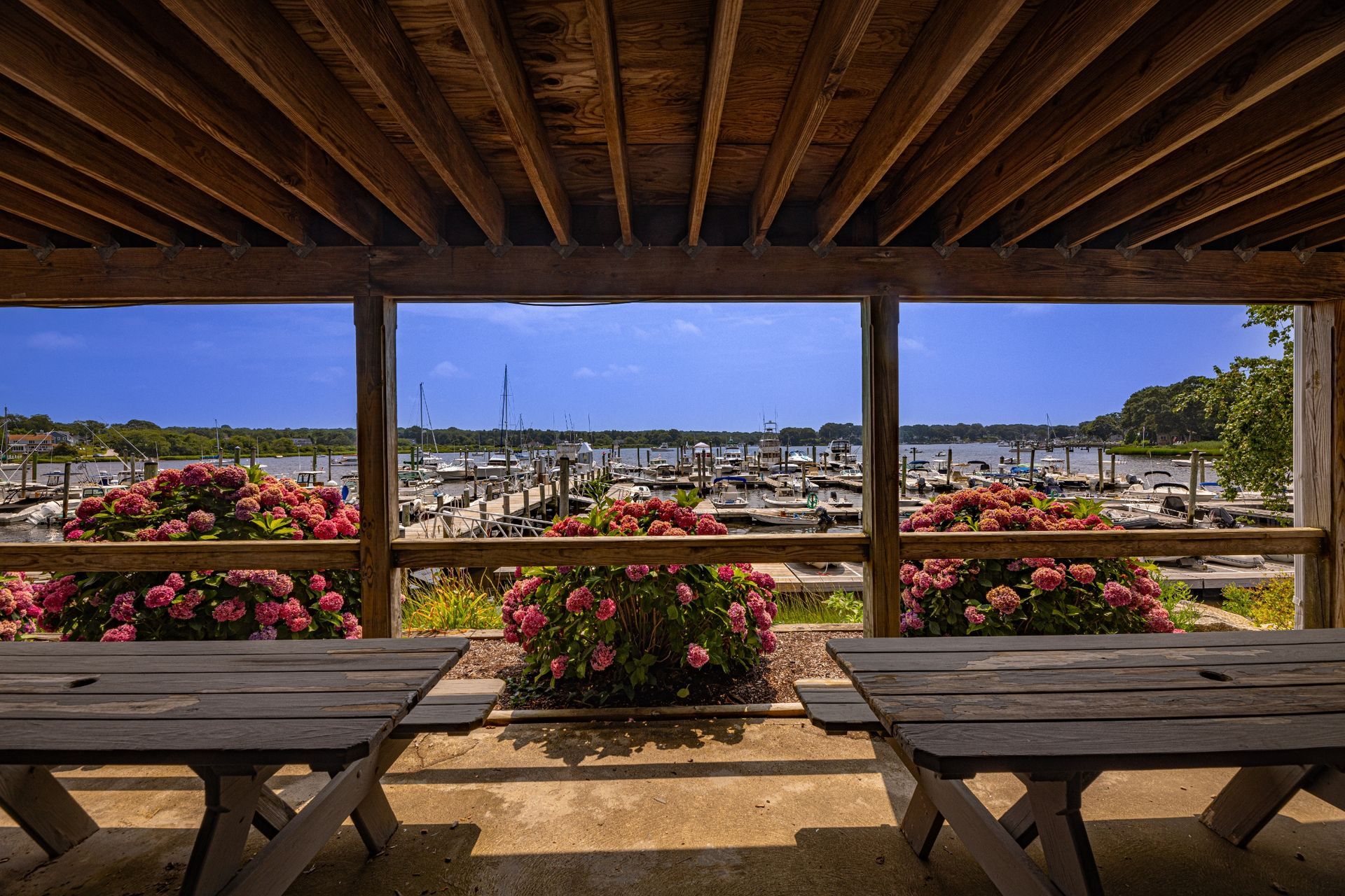 A picnic table with a view of a marina and boats.