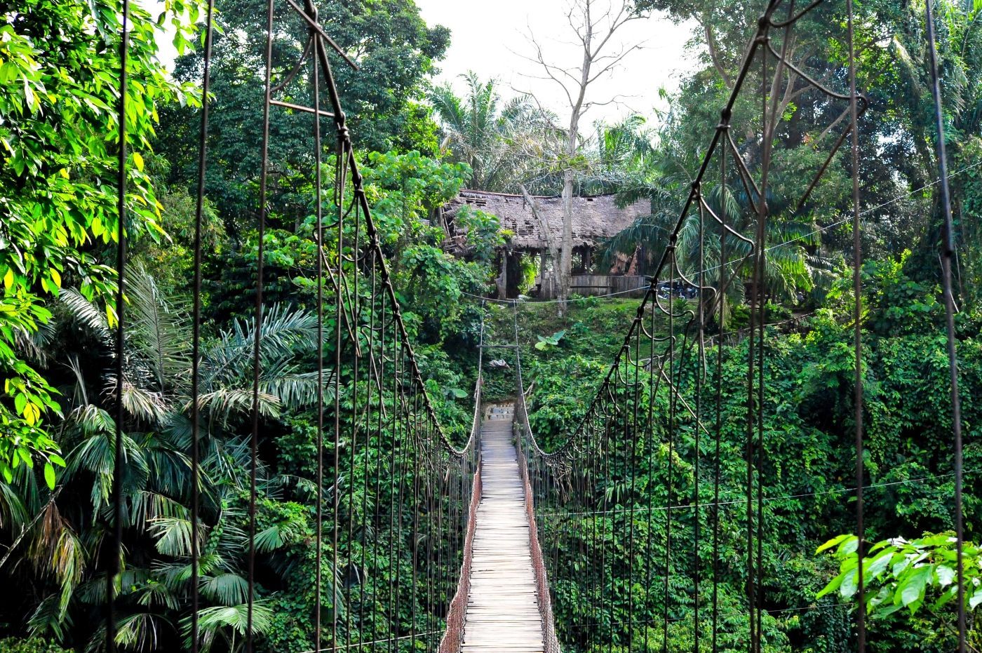 hangbrug op de rivier de buluh in tangkahan, sumatra