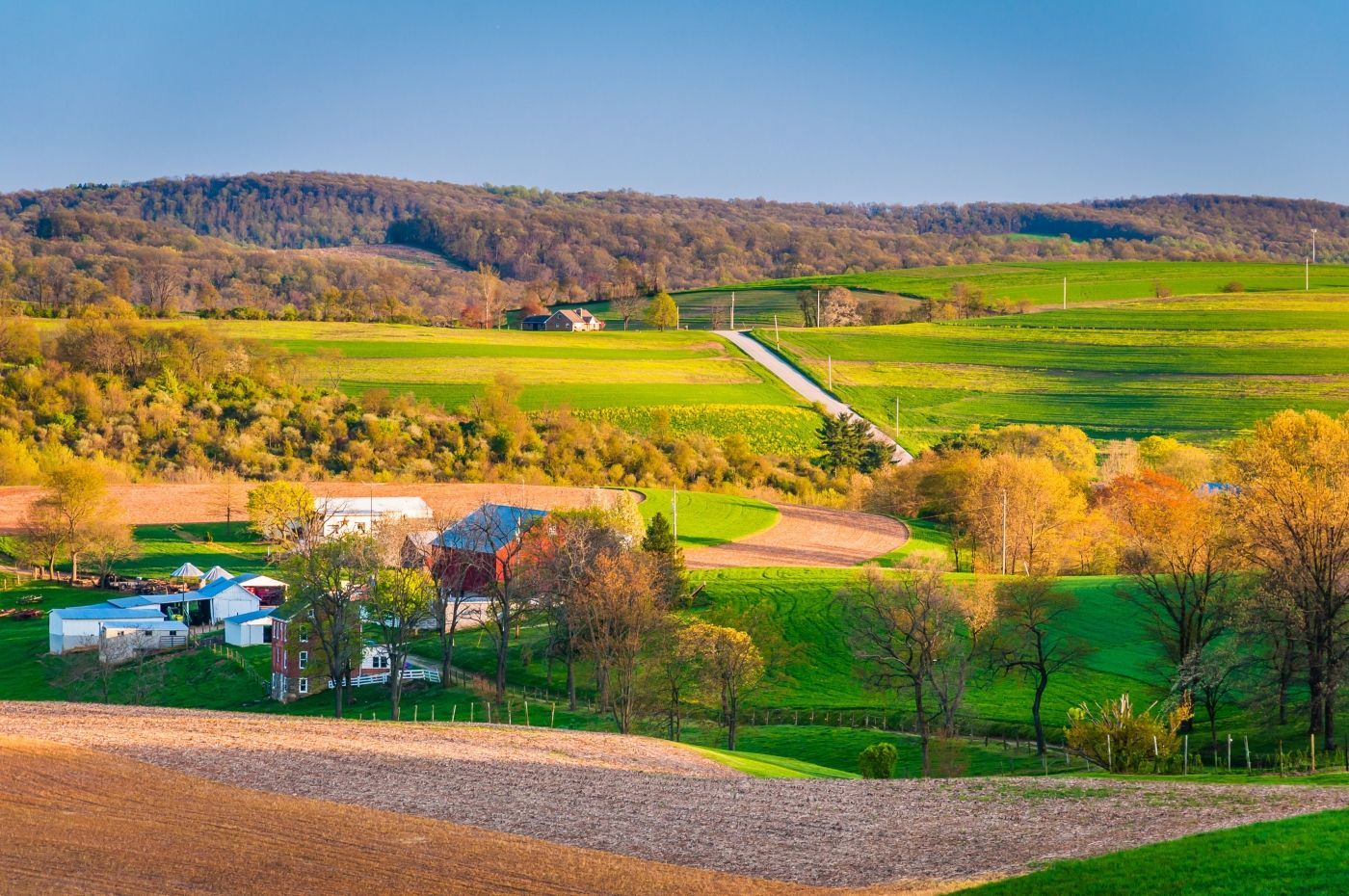 een luchtfoto van een boerderij midden in een weelderig groen veld.