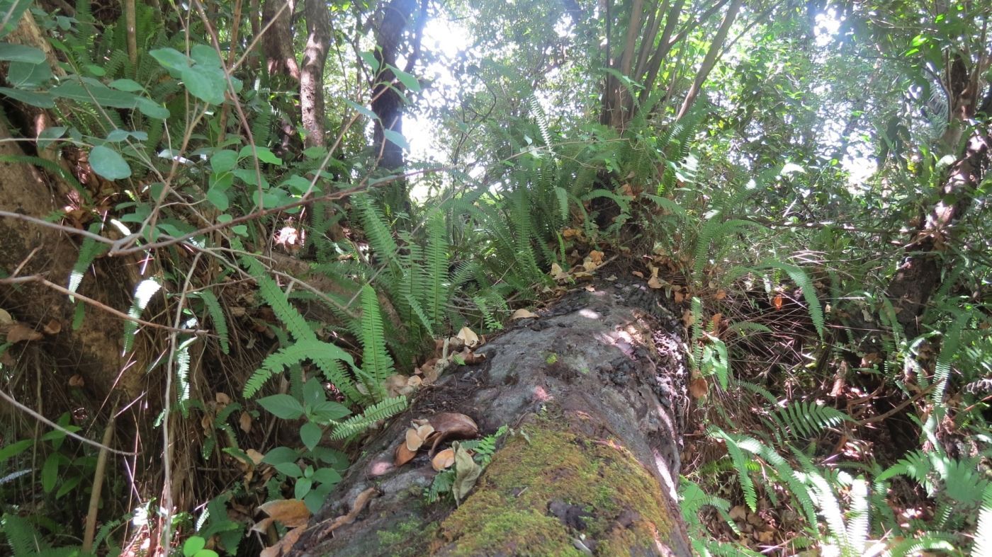 Foto Karen Mac-lean in Kenia