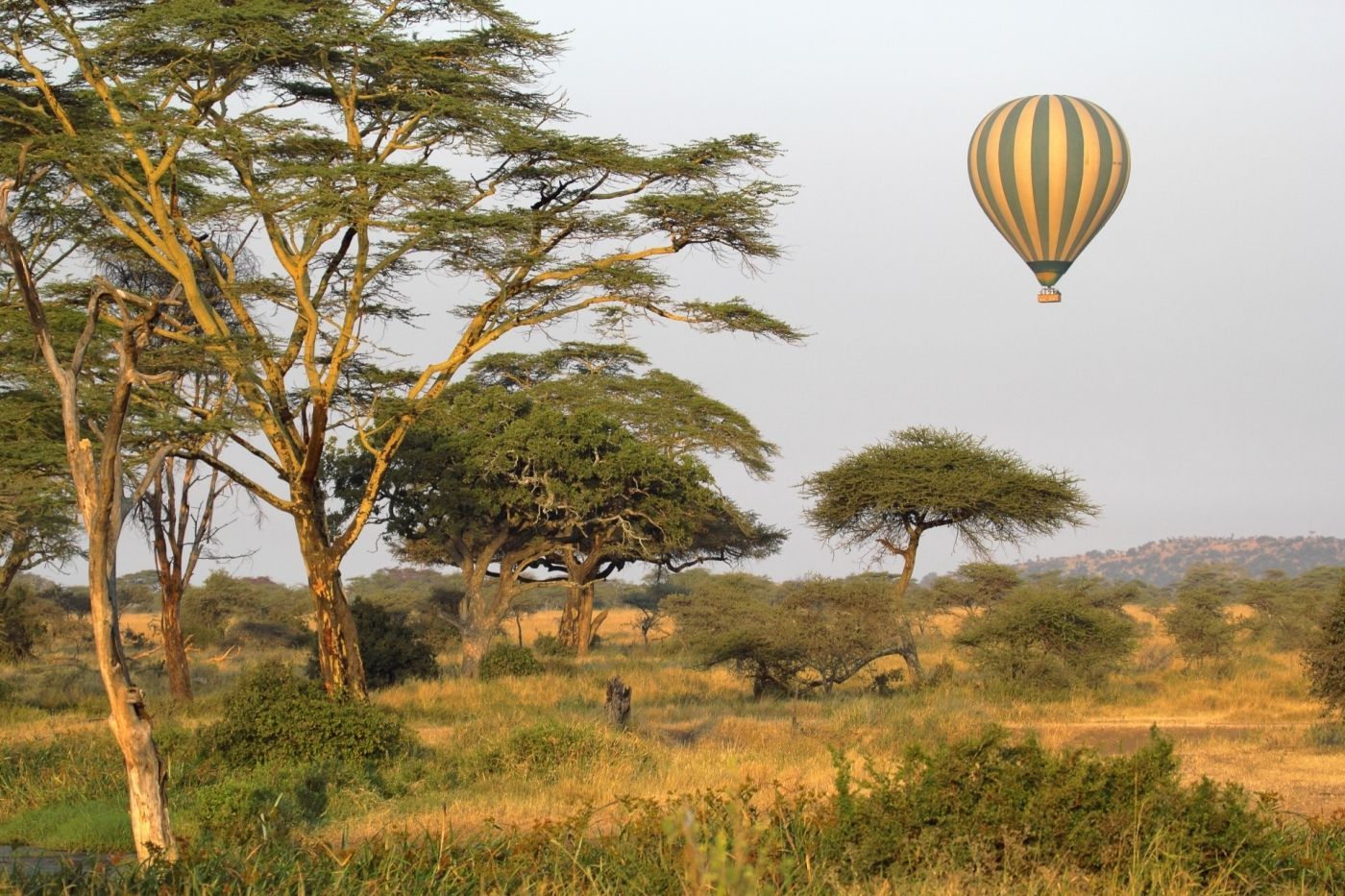 een heteluchtballon vliegt over een weelderig groen veld in Tanzania met link naar pagina Tanzania