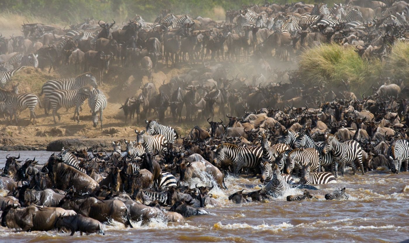 doorlink naar maatwerk reis voorbeeldTanzania
