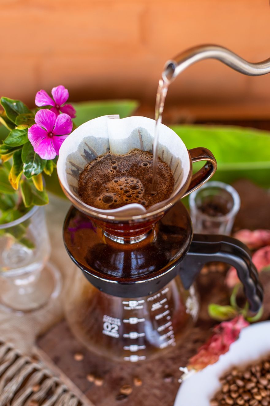 Preparo de café coado: Água quente flui para um filtro, gotejando em uma jarra de vidro. Flores rosas e grãos de café