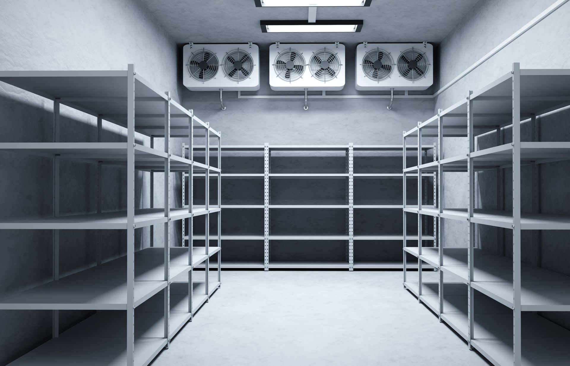 Empty industrial cold storage room with shelving.