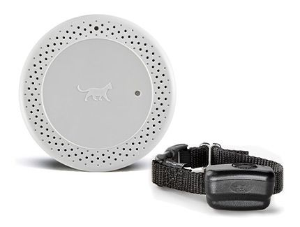 A white circle with a cat on it next to a black collar.