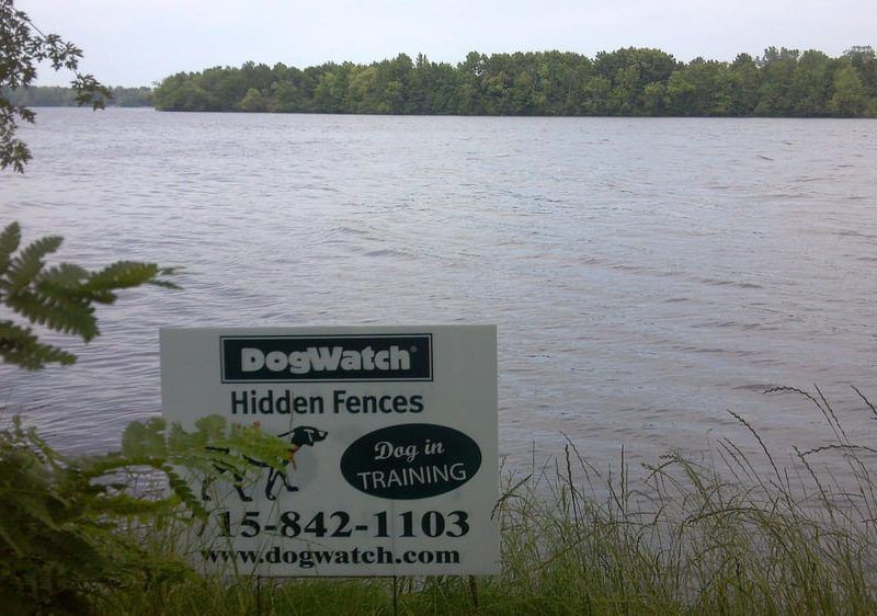 A DogWatch Hidden Fences sign sits on a grassy bank overlooking a wide, calm river with a tree-lined shore in the distance.