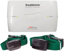 A dog watch hidden fence with two green collars