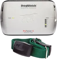 A dog watch hidden fence with a green collar