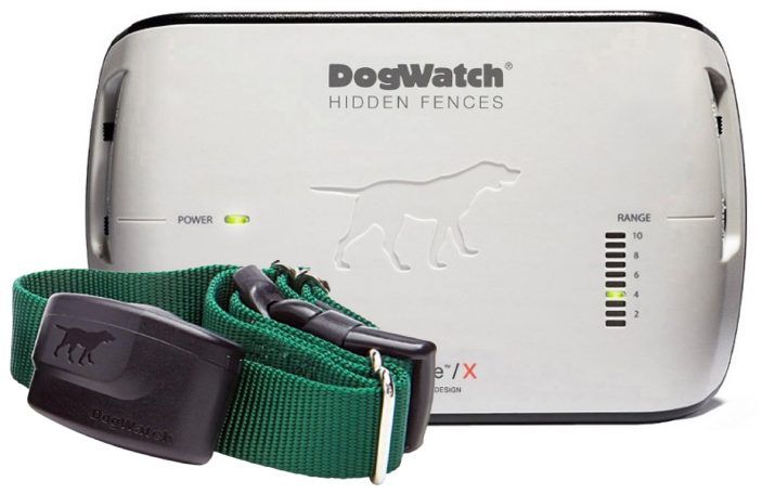 A dog watch hidden fence with a green strap