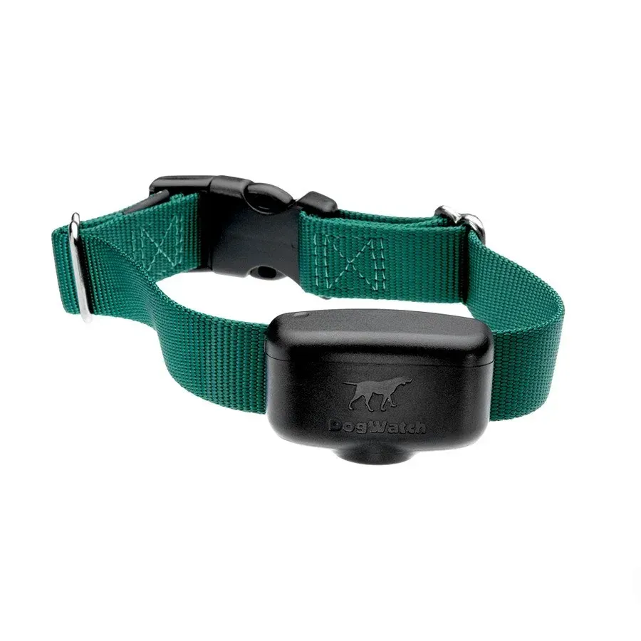 A green nylon dog training collar featuring a black electronic receiver unit and a plastic buckle closure.