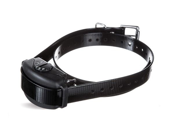 A black dog collar with a small device attached to it