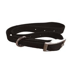 A black nylon dog collar with a silver-toned metal buckle and D-ring against a white background.