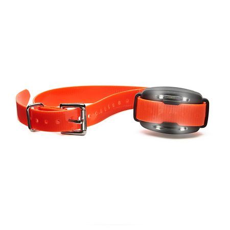An orange collar with a black buckle on a white background