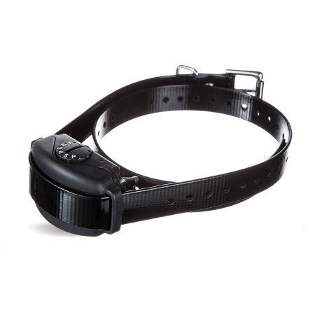 A black dog collar with a small device attached to it on a white background.