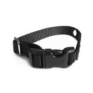 A black collar with a plastic buckle on a white background