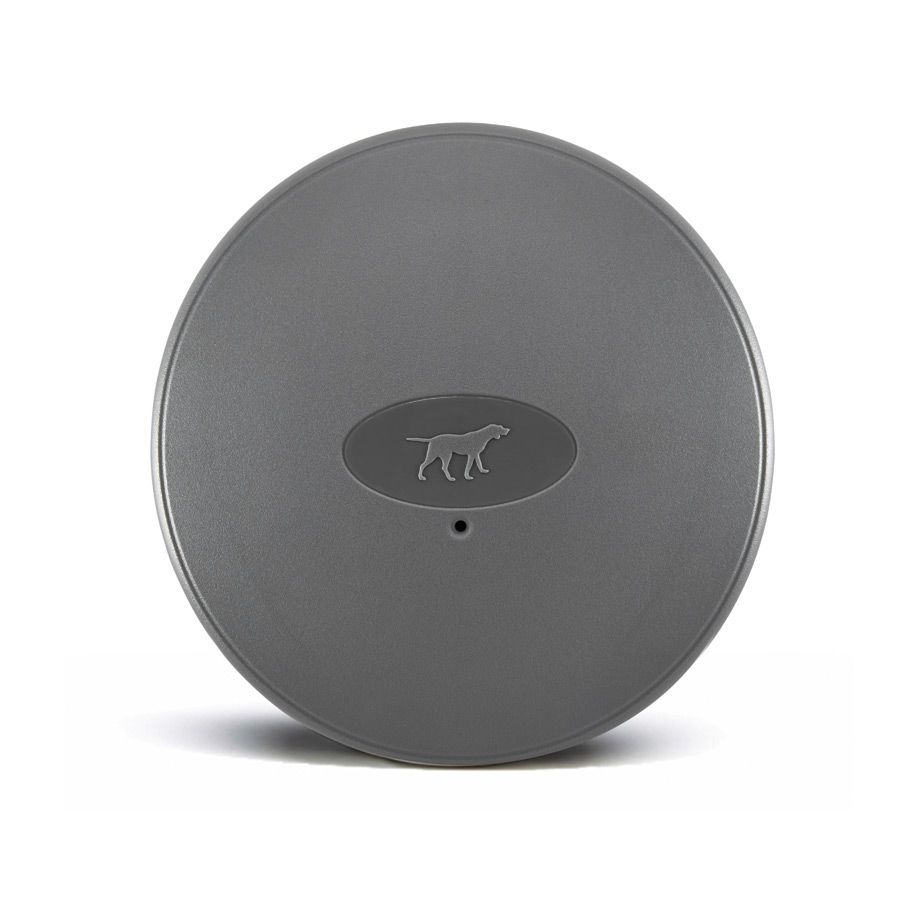 A gray circle with a dog on it