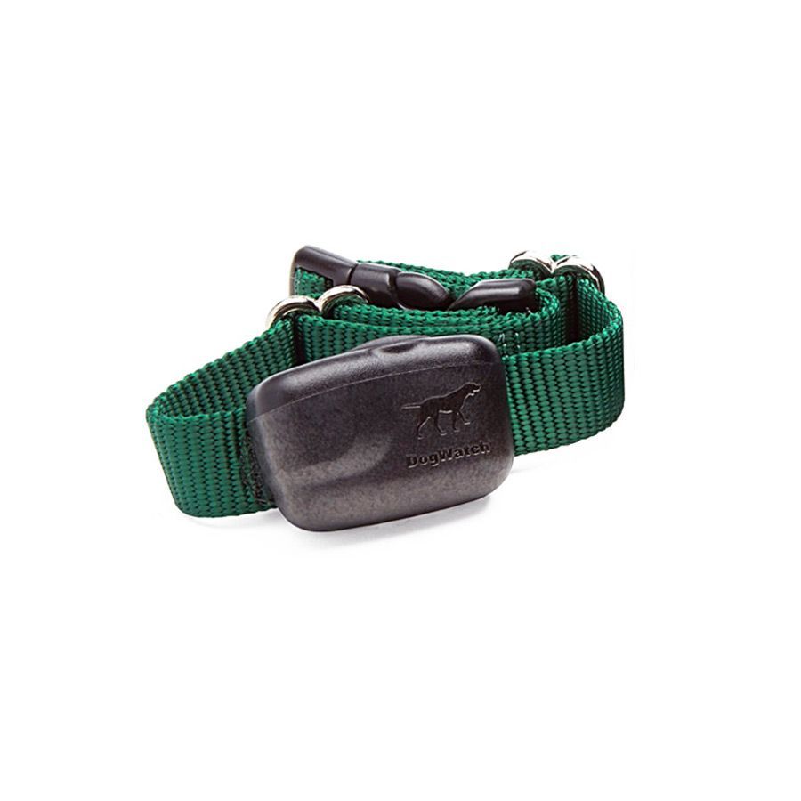 A green dog collar with a black device on it