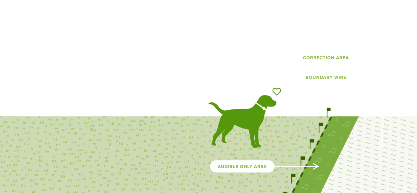 A green illustration showing a dog near a dashed-line boundary that leads to a designated 