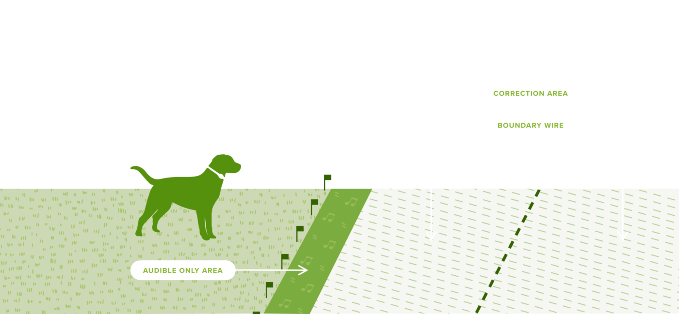 An illustration shows a green dog standing next to a striped 