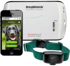 A dog watch hidden fence with a smart fence collar and a cell phone.
