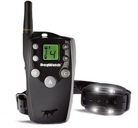 A dog collar with a remote control attached to it.