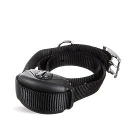 A black dog collar with a buckle on a white background.